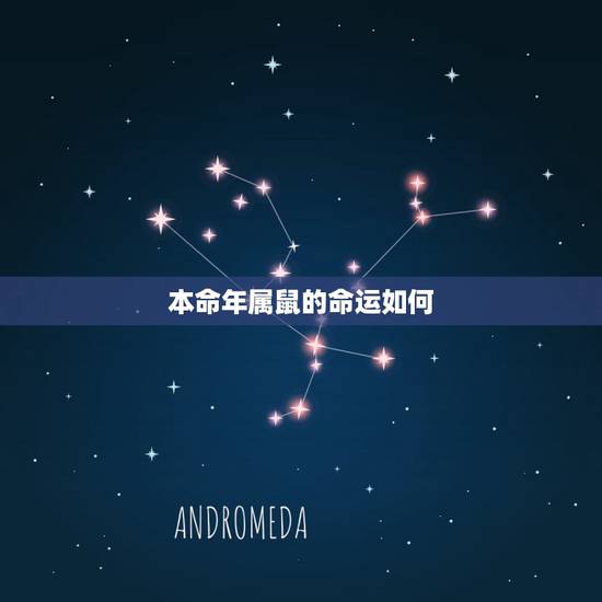 本命年属鼠的命运如何,十二生肖与人生运势 本命年属鼠的命运如何,十二生肖与人生运势