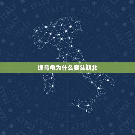 埋乌龟为什么要头朝北，为什么乌龟死了头要朝北埋？