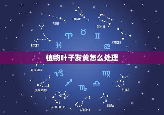 植物叶子发黄怎么处理,植物叶子发黄怎么治 植物叶子发黄怎么处理,植物叶子发黄怎么治