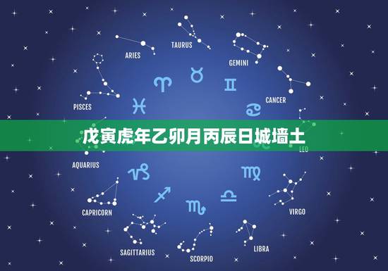 戊寅虎年乙卯月丙辰日城墙土，冲鼠戊子煞北是什么意思