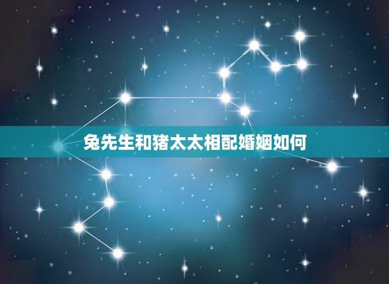 兔先生和猪太太相配婚姻如何，兔和猪相配婚姻会幸福吗