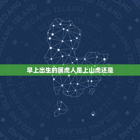 早上出生的属虎人是上山虎还是,卯时属虎的男孩属上山虎还是下山虎 早上出生的属虎人是上山虎还是,卯时属虎的男孩属上山虎还是下山虎