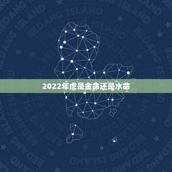 2022年虎是金命还是水命,2024年龙年是什么命 2022年虎是金命还是水命,2024年龙年是什么命