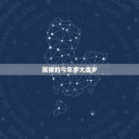 属猪的今年多大虚岁,属猪今年多大2022 属猪的今年多大虚岁,属猪今年多大2022