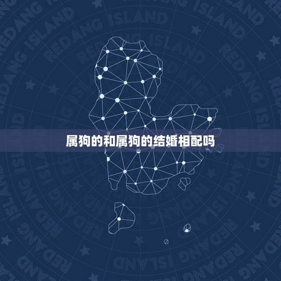 属狗的和属狗的结婚相配吗，属狗男和什么属相的女性结婚最合适