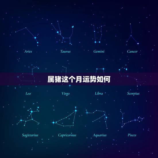 属猪这个月运势如何，2010年属猪人的运势？