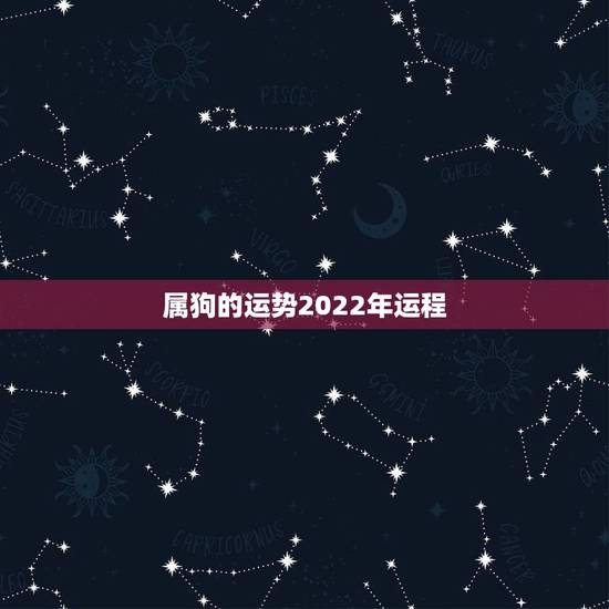 属狗的运势2022年运程，82年属狗2022年的运势
