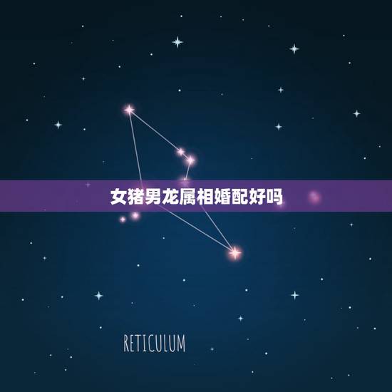 女猪男龙属相婚配好吗，属相龙女和属相猪男婚配如何
