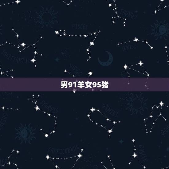 男91羊女95猪，91男羊和95猪女姻缘