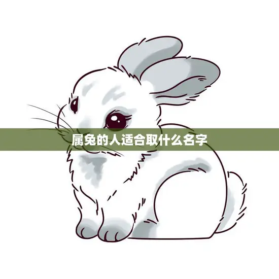 属兔的人适合取什么名字(如何为兔子宝宝取名)