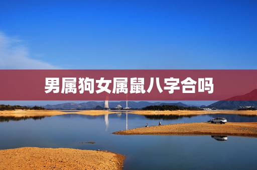 男属狗女属鼠八字合吗,94狗跟96鼠可以结婚吗 男属狗女属鼠八字合吗,94狗跟96鼠可以结婚吗