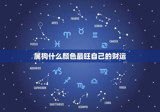 属狗什么颜色最旺自己的财运，属狗开什么颜色车最旺