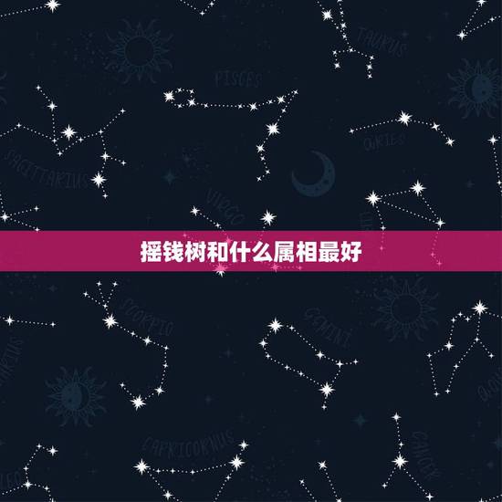 摇钱树和什么属相最好,摇钱树指什么动物 摇钱树和什么属相最好,摇钱树指什么动物