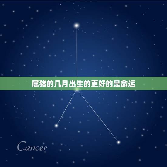 属猪的几月出生的更好的是命运，属虎的和什么属相最配