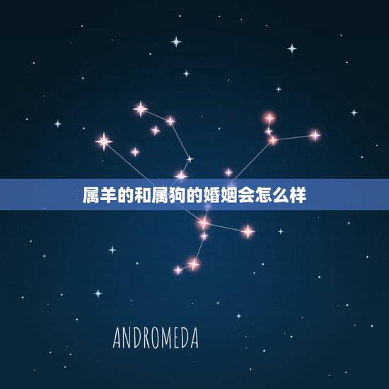 属羊的和属狗的婚姻会怎么样,男属羊女属狗婚姻合吗 属羊的和属狗的婚姻会怎么样,男属羊女属狗婚姻合吗