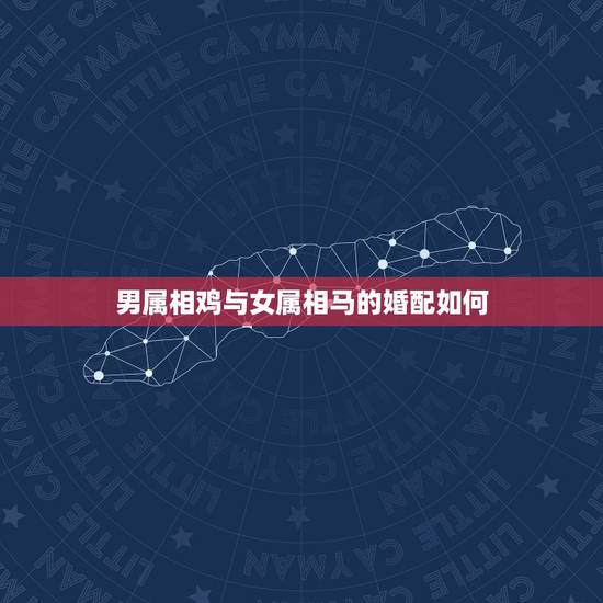 男属相鸡与女属相马的婚配如何，属马的男和属鸡的女婚姻怎么样