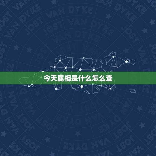 今天属相是什么怎么查，如何知道今天是什么生肖日