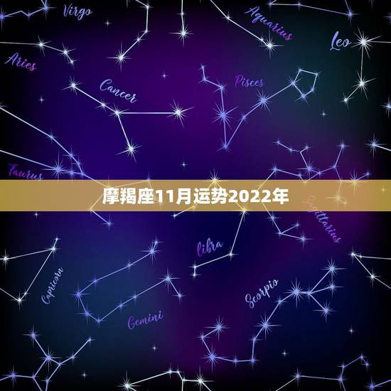 摩羯座11月运势2022年，摩羯座2014年11月运势 王小亚