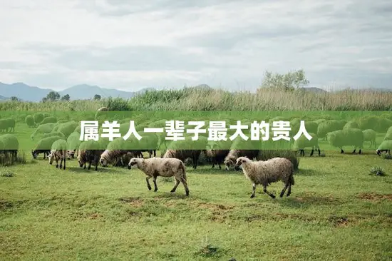 属羊人一辈子最大的贵人(谁是你的守护神) 属羊人一辈子最大的贵人(谁是你的守护神)