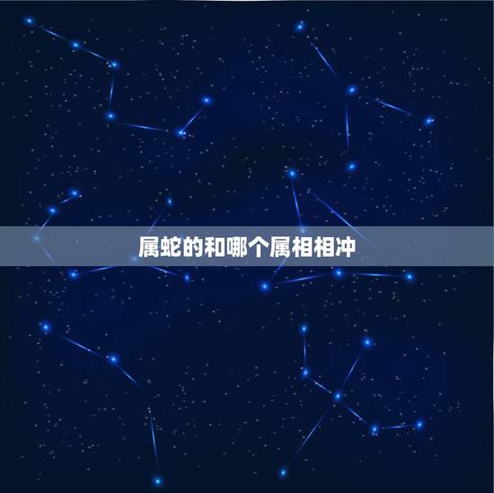 属蛇的和哪个属相相冲，属蛇人与什么属相犯冲