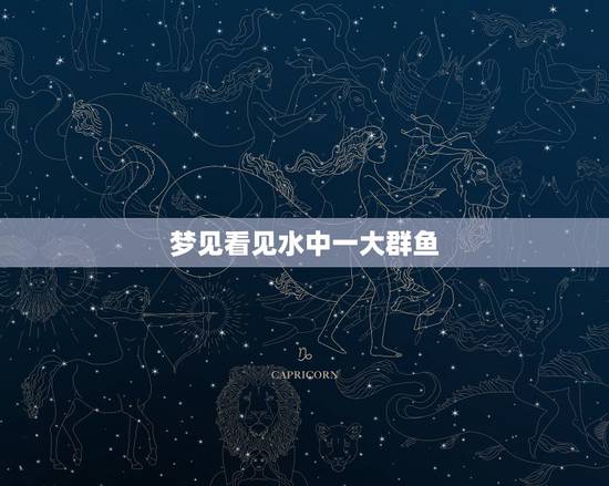 梦见看见水中一大群鱼，梦见游泳、梦见水中有很多鱼是怎么回事