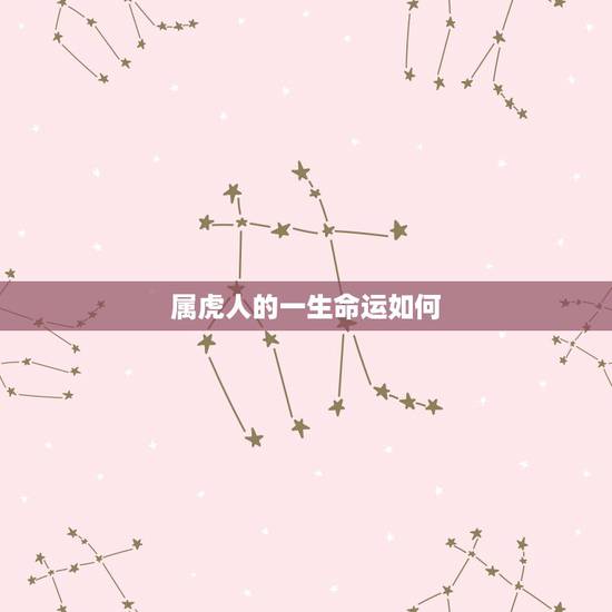 属虎人的一生命运如何,属虎一生运势 属虎人的一生命运如何,属虎一生运势