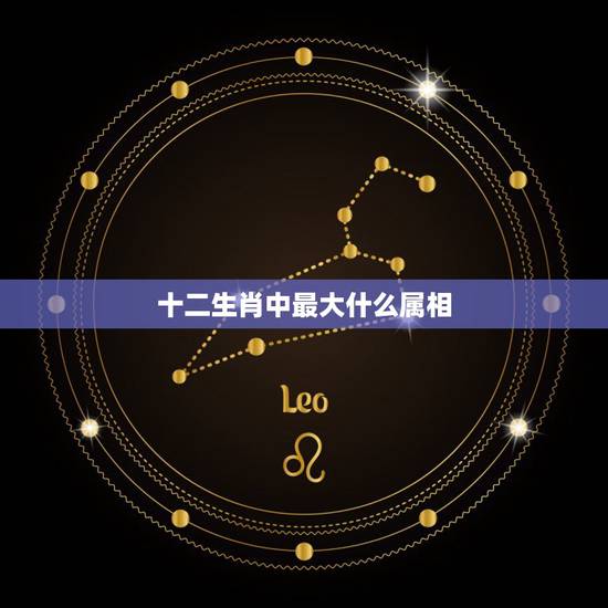 十二生肖中最大什么属相，十二生肖谁最大