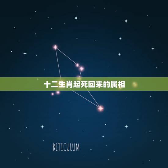 十二生肖起死回来的属相,起死回生是什么生肖? 十二生肖起死回来的属相,起死回生是什么生肖?
