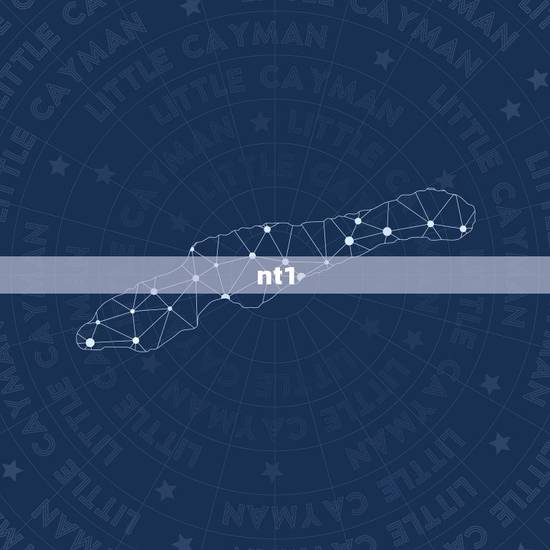 nt1.4是男孩还是女孩,NT值1.17,双颈径2.3,股骨长1.4, nt1.4是男孩还是女孩,NT值1.17,双颈径2.3,股骨长1.4,