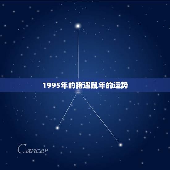1995年的猪遇鼠年的运势