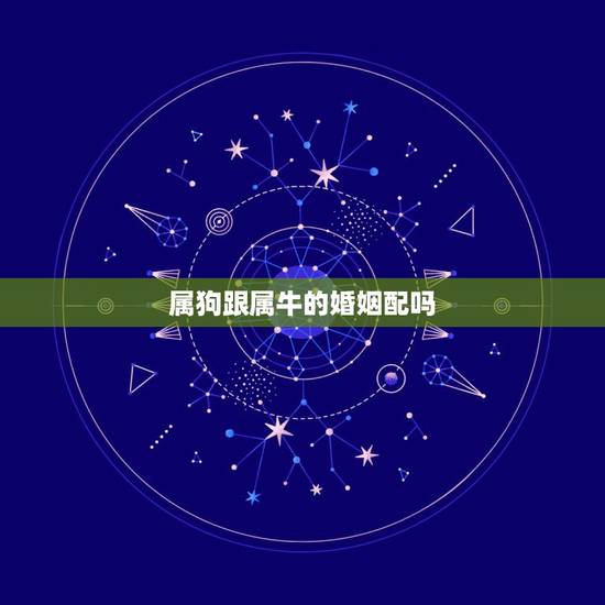 属狗跟属牛的婚姻配吗，女属狗和男属牛的相配吗