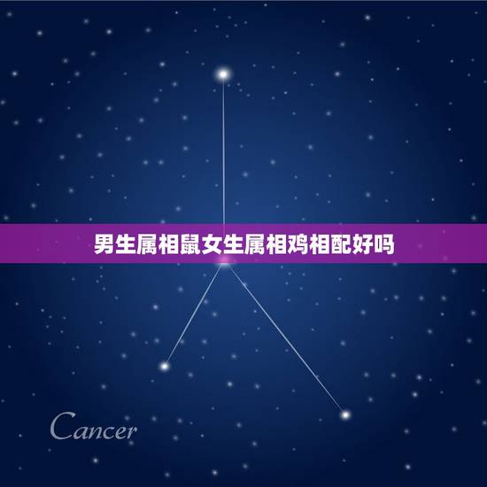 男生属相鼠女生属相鸡相配好吗，男属鼠女属鸡生什么属相宝宝好呢