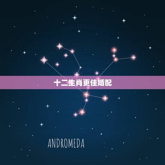 十二生肖更佳婚配,十二生肖婚姻更佳搭配 十二生肖更佳婚配,十二生肖婚姻更佳搭配