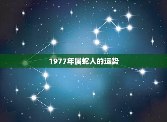 1977年属蛇人的运势 1977年农历九月属蛇一生命运 1977年属蛇人的运势 1977年农历九月属蛇一生命运