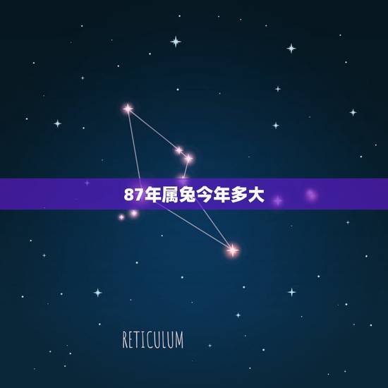 87年属兔今年多大，87年属兔的是什么命运