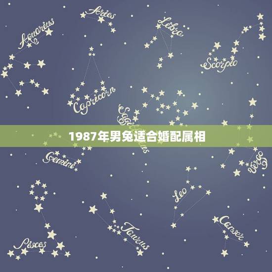 1987年男兔适合婚配属相，87年属兔女孩和什么属相相配