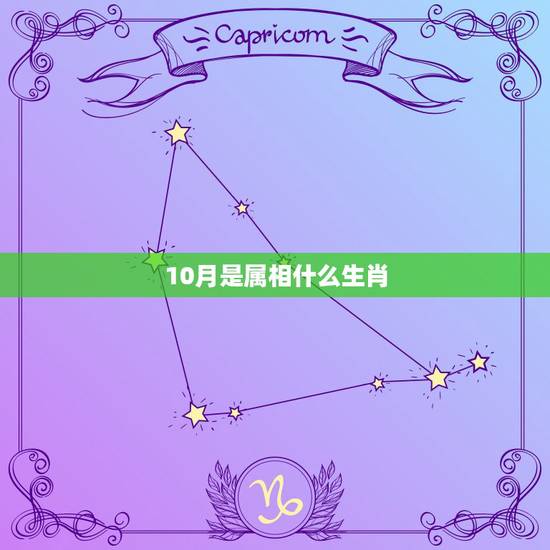 10月是属相什么生肖,新历10月份是什么生肖 10月是属相什么生肖,新历10月份是什么生肖