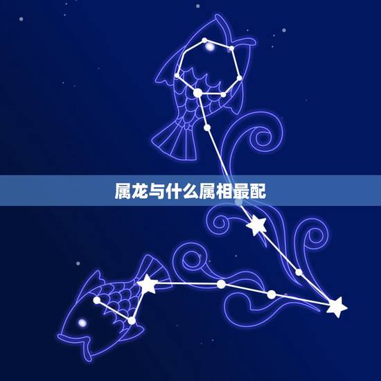 属龙与什么属相最配，属龙与什么属相相克