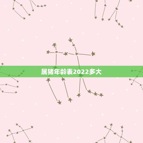 属猪年龄表2022多大，属猪年龄查询表