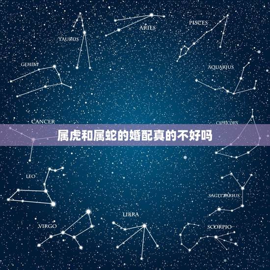 属虎和属蛇的婚配真的不好吗,属虎和属蛇的人真的不能在一起吗? 属虎和属蛇的婚配真的不好吗,属虎和属蛇的人真的不能在一起吗?