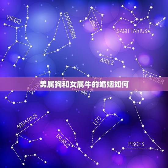 男属狗和女属牛的婚姻如何，男属狗女属牛婚配好吗？