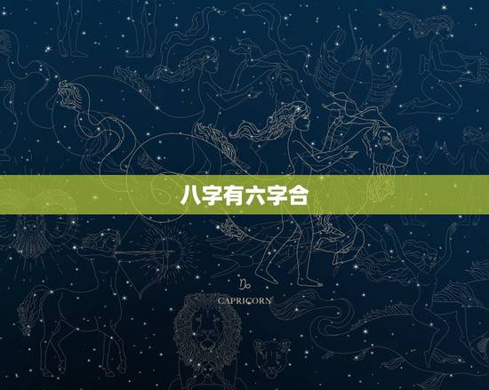 八字有六字合，合八字合了六个字是什么意思？