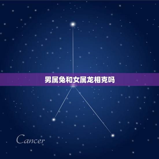 男属兔和女属龙相克吗,男兔女龙谈恋爱会相害吗 男属兔和女属龙相克吗,男兔女龙谈恋爱会相害吗