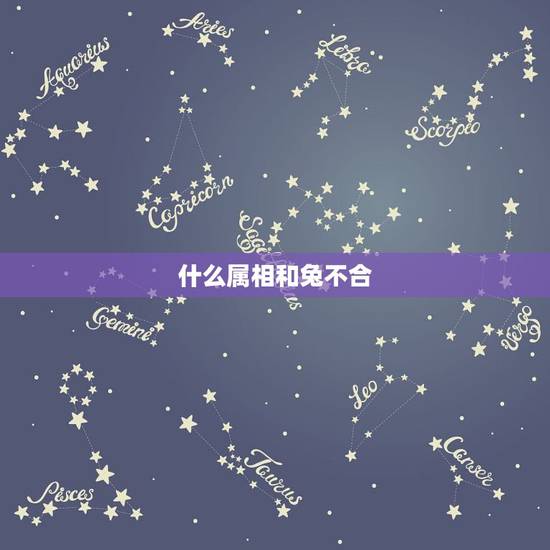 什么属相和兔不合,属兔适合找属什么生肖 什么属相和兔不合,属兔适合找属什么生肖