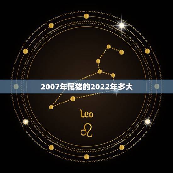 2007年属猪的2022年多大,2007年属猪的人什么命 2007年属猪的2022年多大,2007年属猪的人什么命