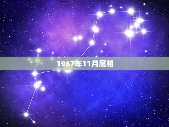 1967年11月属相，公历1967年11月二号属什么星座