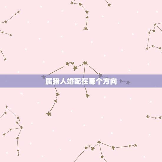 属猪人婚配在哪个方向,属猪的与哪些属相婚配最好 属猪人婚配在哪个方向,属猪的与哪些属相婚配最好