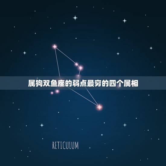 属狗双鱼座的弱点最穷的四个属相，生肖狗的双鱼座和什么生肖星座最配