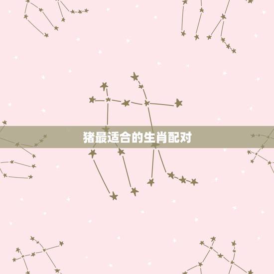 猪最适合的生肖配对，猪年跟什么生肖配对
