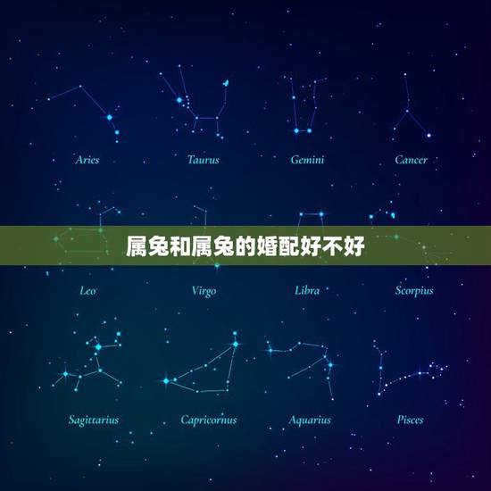 属兔和属兔的婚配好不好,属兔男更佳婚配 属兔和属兔的婚配好不好,属兔男更佳婚配